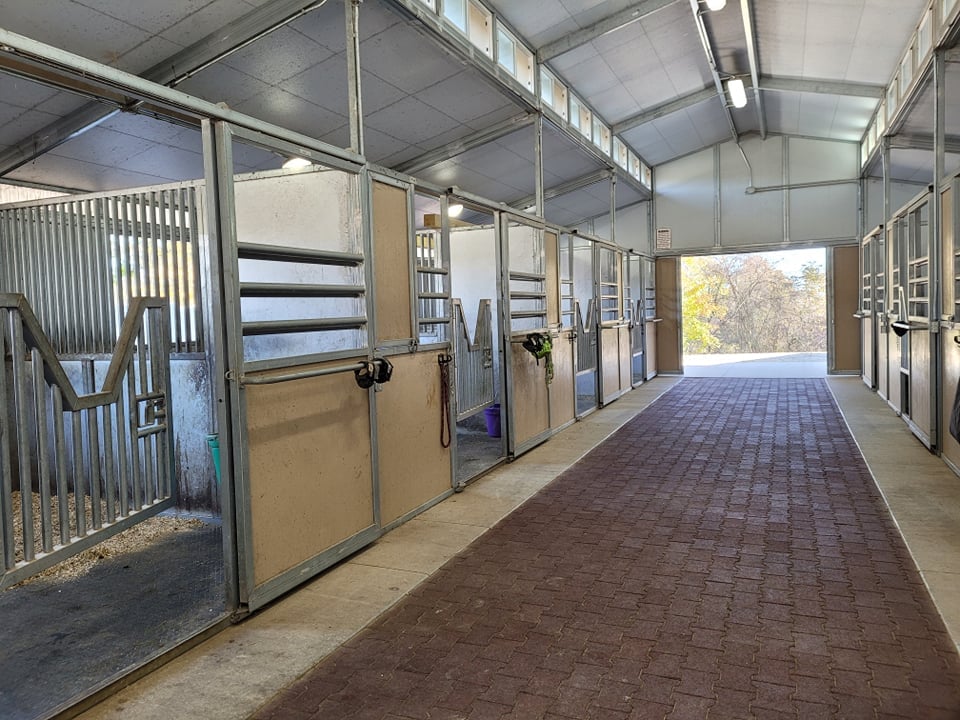 shenanigans stables stalls 