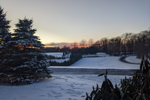 PXL_20220206_230401622 1