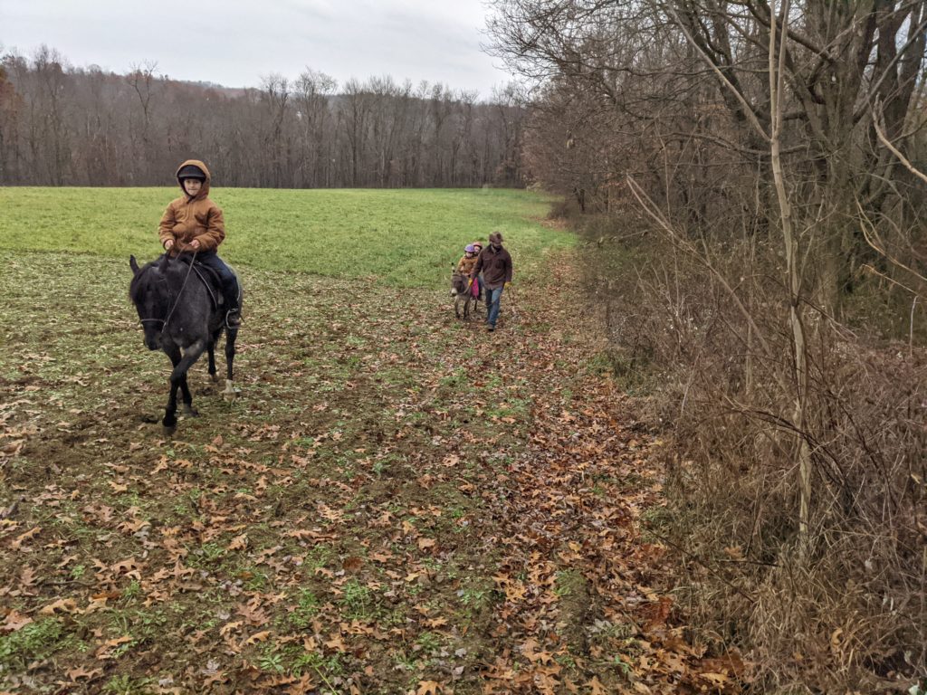 aboutfacility1 children riding horses
