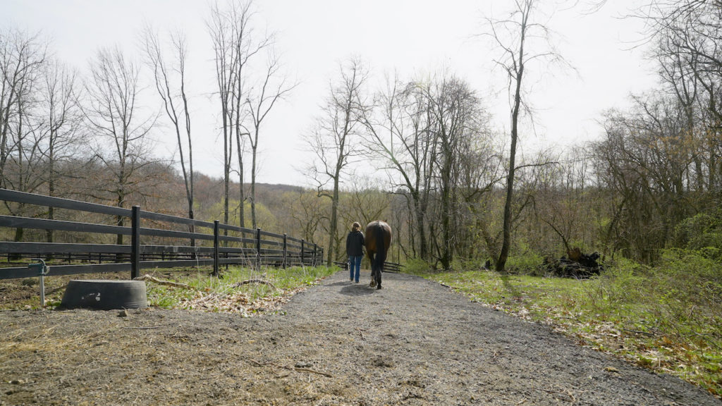 Copy of sort.00_03_49_06.Still002