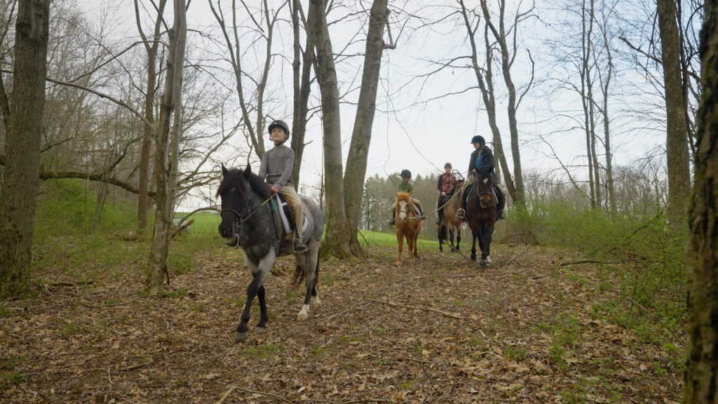 Copy of sort.00_16_21_07.Still050