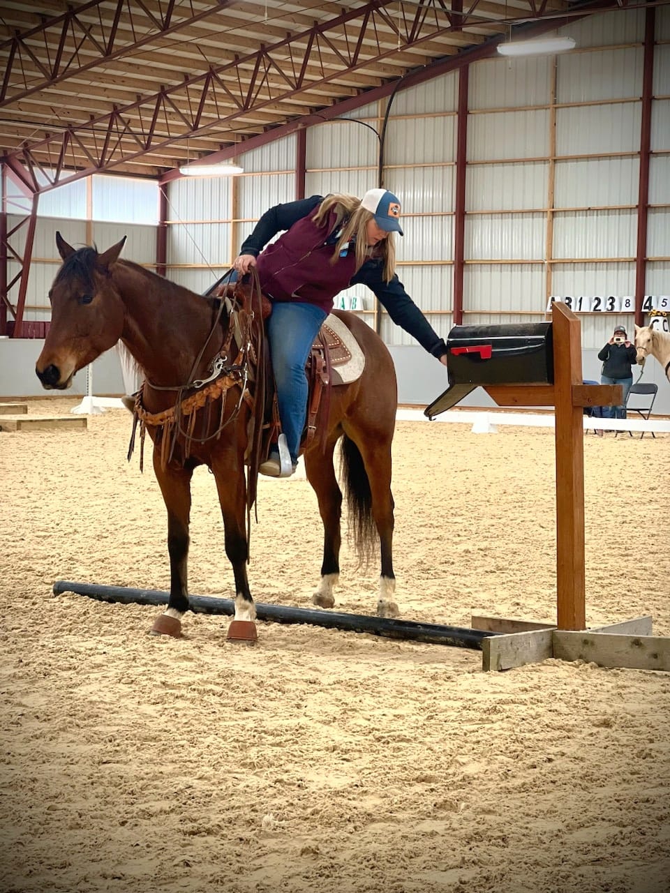 shenanigans stables stalls 